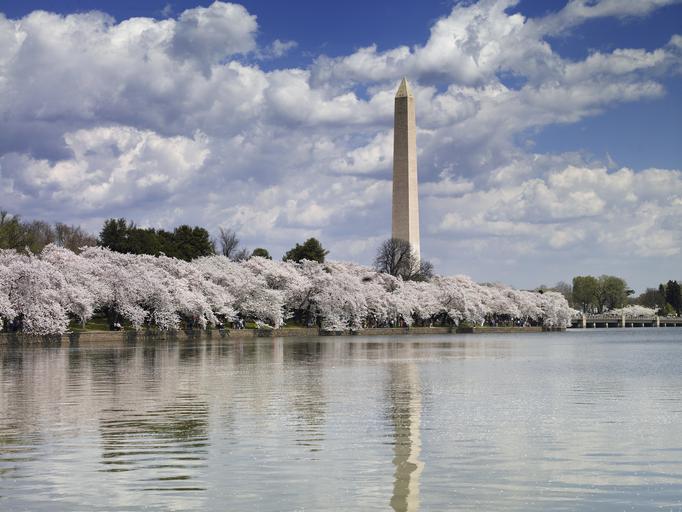 Washington Monument