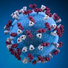 Coronavirus